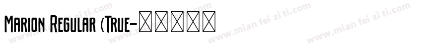 Marion Regular (True字体转换